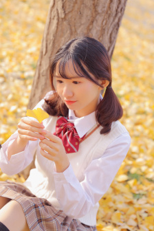 1—40集免费看